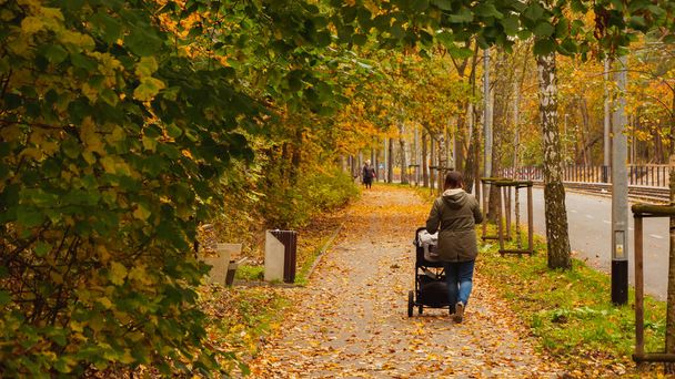 秋の公園の横に歩道。カラフルな葉の木。落ち葉。豪華な秋のイメージ。ポーランドのグダニスク. - 写真・画像