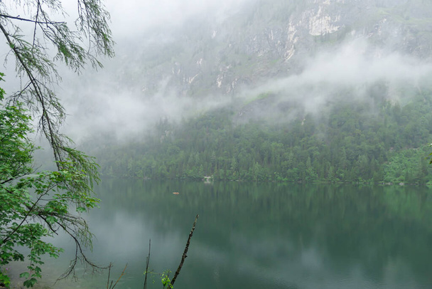 オーストリアの牧歌的なレオポルシュタイナー湖。湖は濃い霧に覆われた高いアルプスに囲まれています。雨の日だ。緑の木の枝。ムーディーと神秘的な雰囲気。湖の上の柔らかい反射 - 写真・画像