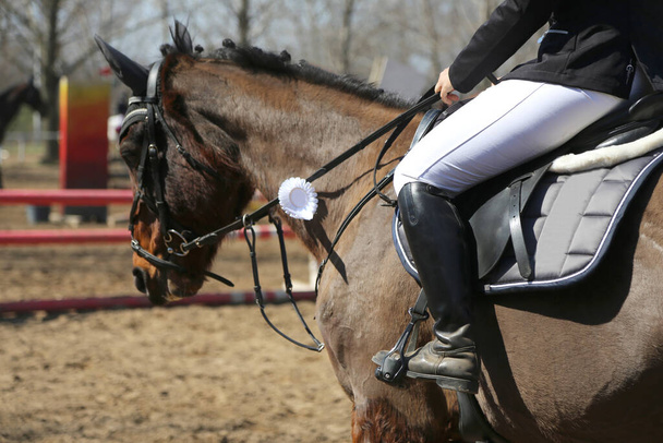 Paardrijden banner voor website of tijdschrift illustratie. Foto van de paardensport competitie als springachtergrond - Foto, afbeelding