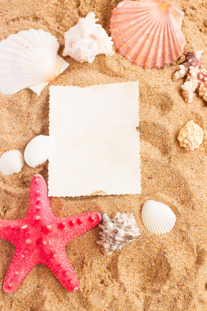 starfish ans seashells frame on sand - Fotografie, Obrázek