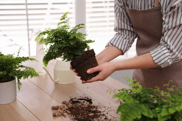 Woman holding fern at wooden table, closeup - Photo, Image