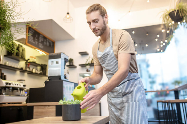Young adult man watering plant in cafe - Foto, Imagen