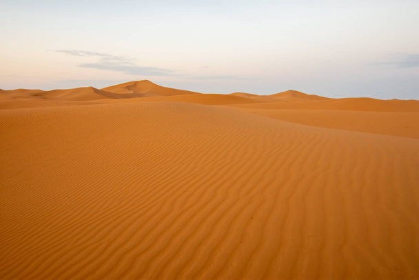 Sahara jest największą pustynią na świecie. - Zdjęcie, obraz