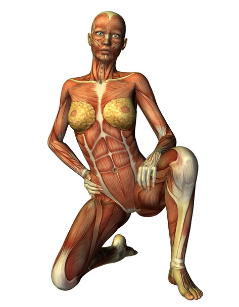 1 つの膝に筋肉女性 - 写真・画像