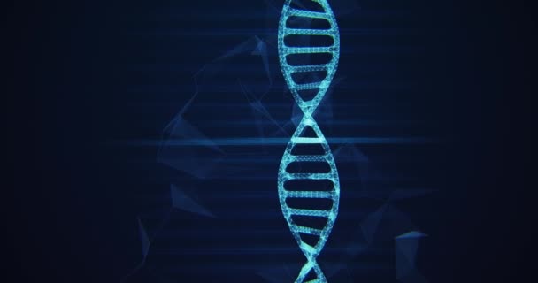 DNA rakenne käsite tausta animaatio silmukka - Materiaali, video