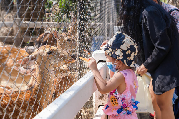 Adorable child girl wearing medical face mask to prevent Covid-19 pandemic disease symptoms during traveling tour with mother or family. Cute girl feeding deer with a carrot at zoo at bright sunny. - Photo, Image
