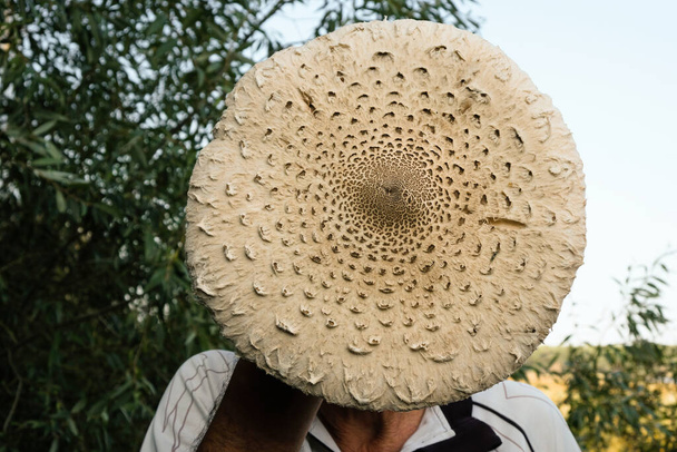 Funny image. The man covered his face with a parasol mushroom. - Photo, Image