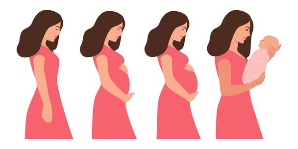 Hlavní fáze těhotenství.Těhotná žena a novorozenec.Těhotenství krásná žena tělo izolované na bílém pozadí. Kalendář těhotenství. Plochá vektorová ilustrace. - Vektor, obrázek
