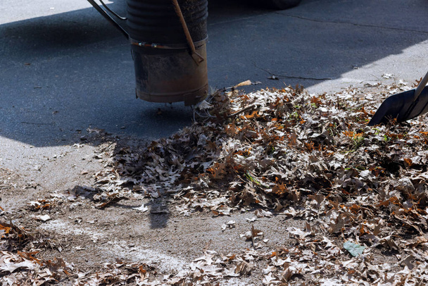 公園清掃サービス、道路の秋のシーズンの葉を掃除するために真空を使用して男 - 写真・画像