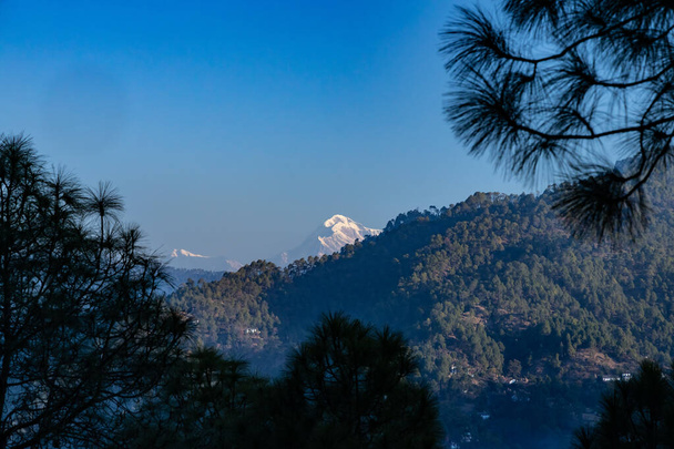 Blick auf den Trisul-Gipfel im Himalaya-Gebirge, umrahmt von Kiefern auf beiden Seiten - Foto, Bild