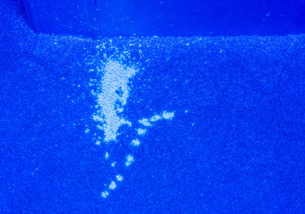 Ultraviolet light illuminates many pet urine stains on a carpet - Photo, Image