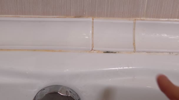 Moule noir dans la salle de bain. La chauve-souris infectée par un champignon. appeler un plombier - Séquence, vidéo