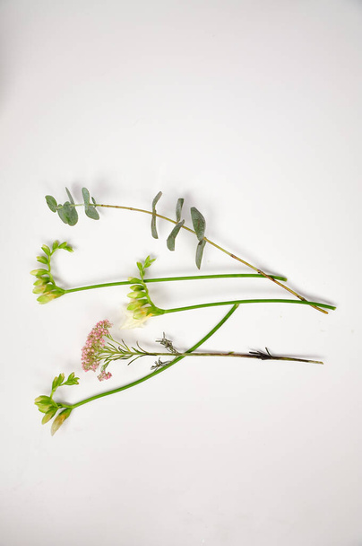 白を背景に花屋さんによる緑のナチュラルブーケ  - 写真・画像