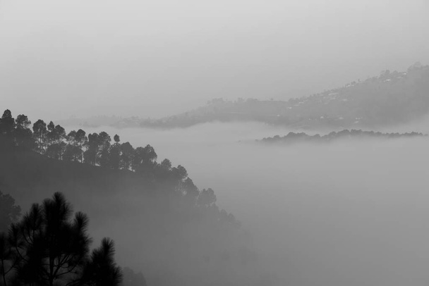 Στρώματα από βουνά με πεύκα πάνω τους και ομίχλη και ομίχλη εγκαταστάθηκαν στην κοιλάδα - Φωτογραφία, εικόνα