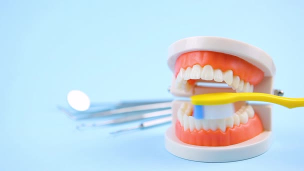 Cuidado de la cavidad oral. cómo cepillar correctamente los dientes con un cepillo de dientes - Metraje, vídeo
