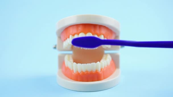 Cuidados da cavidade oral. como escovar adequadamente os dentes com uma escova de dentes - Filmagem, Vídeo
