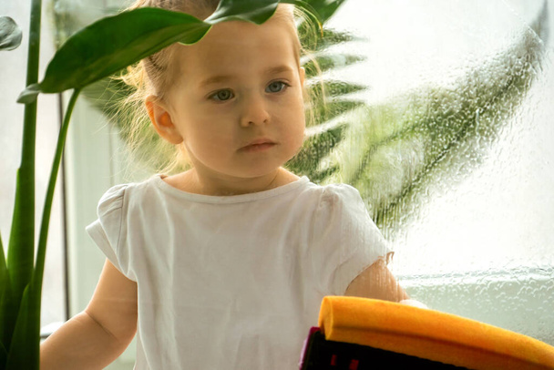 A little girl diligently washing a window. - Foto, immagini