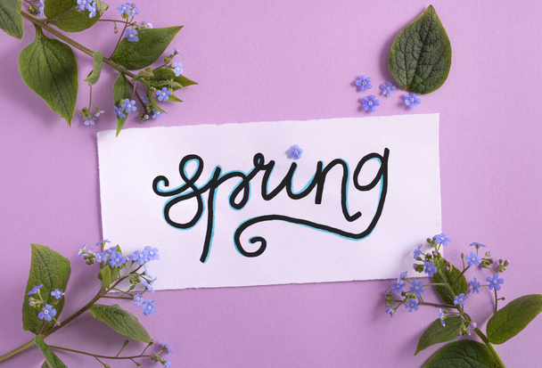 Diseño creativo hecho de pequeñas flores azules y hojas con nota de tarjeta de papel que dice primavera. Acostado. Concepto natural. - Foto, Imagen