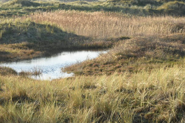Naturgebiet in den Dünen mit dem See der Wattenmeerinsel Vlieland im Herbst - Foto, Bild