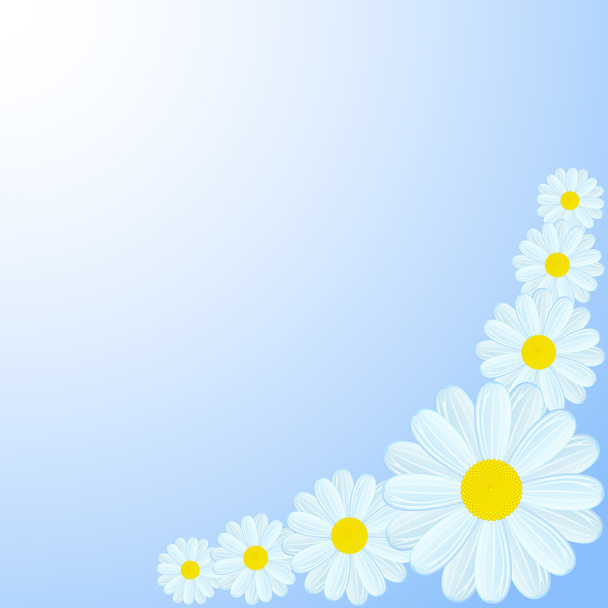 Daisies on blue background - Vector, Image