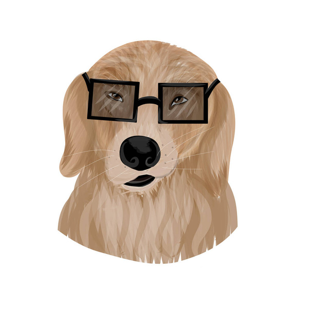 Kutya portré vektor - Vektor, kép