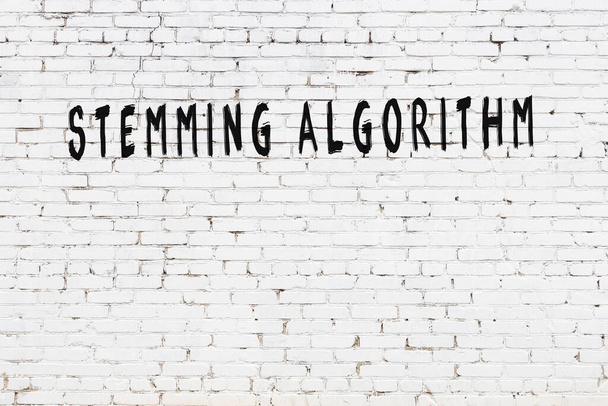 Křída ručně psaný nápis pramenící algoritmus na černém stole - Fotografie, Obrázek