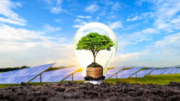 Un arbre poussant sur une pièce d'argent dans une ampoule et un fond solaire concept d'économie d'énergie et d'environnement le jour de la Terre. - Photo, image