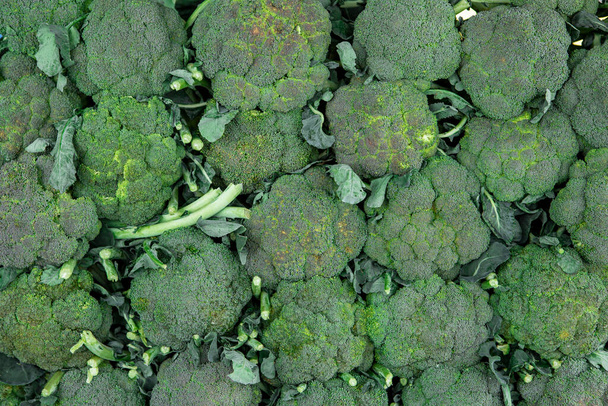 montones de brócoli en el mercado callejero de frutas y hortalizas, alimentos ecológicos orgánicos de los productores locales, antecedentes.  - Foto, Imagen