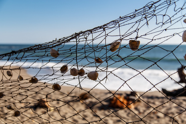 Fishing net - Photo, Image