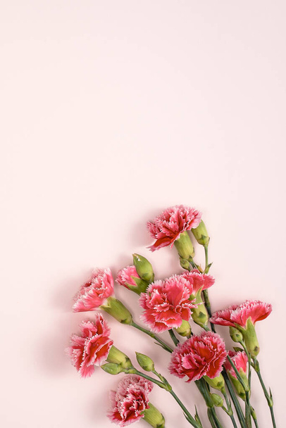 Design concept of Mother's day holiday greeting design with carnation bouquet on pastel pink table background - 写真・画像