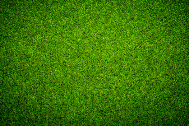 green grass texture background - Photo, Image