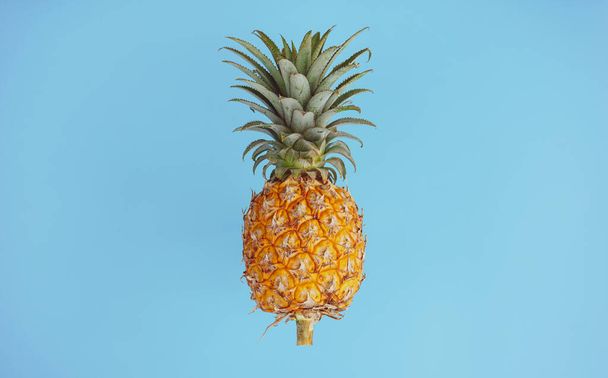 pineapple on a blue background - Φωτογραφία, εικόνα