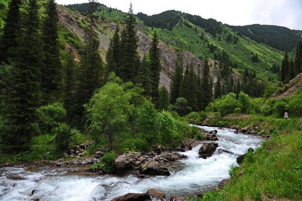 Der Fluss Turgen, der das Gebiet in einer bergigen Gegend in der Nähe von Almaty durchfließt - Foto, Bild