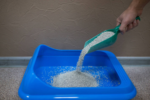 dry friable filler for cat litter is collected and poured into a plastic tray with a scoop, pet hygiene, a pet thing, a purchase in a pet store, a clean cat toilet - Photo, Image