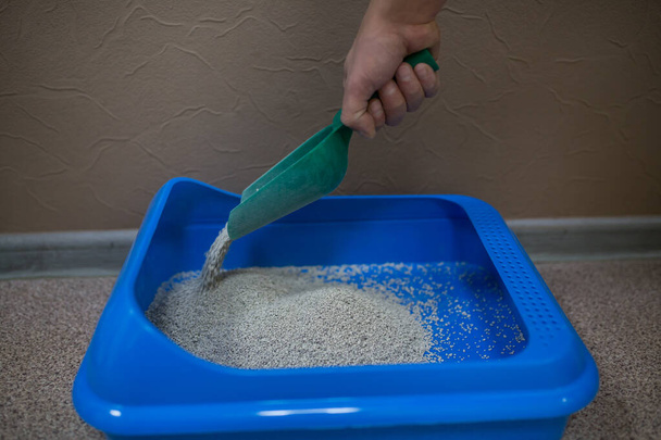 El relleno friable seco para arena de gato se recoge y se vierte en una bandeja de plástico con una cucharada, higiene de mascotas, una cosa para mascotas, una compra en una tienda de mascotas, un inodoro para gatos limpio - Foto, Imagen