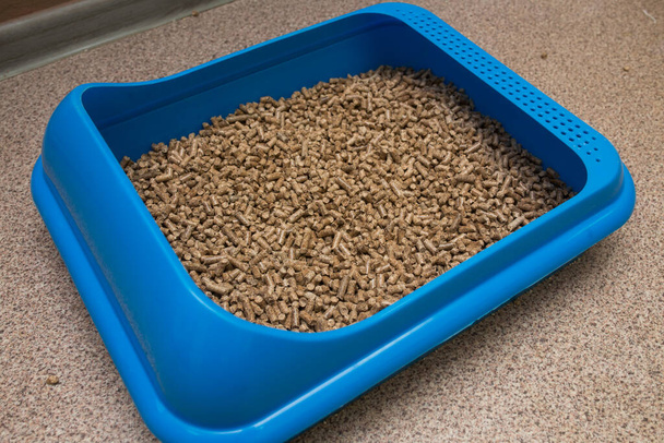 El relleno friable seco para arena de gato se recoge y se vierte en una bandeja de plástico con una cucharada, higiene de mascotas, una cosa para mascotas, una compra en una tienda de mascotas, un inodoro para gatos limpio - Foto, imagen