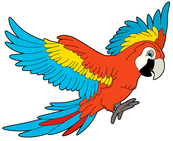 Cartoon bird - Фото, изображение