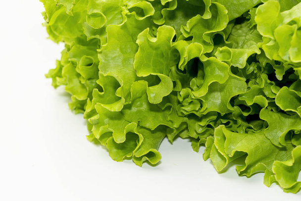 lettuce leaf on a white background close-up. isolate - Photo, Image