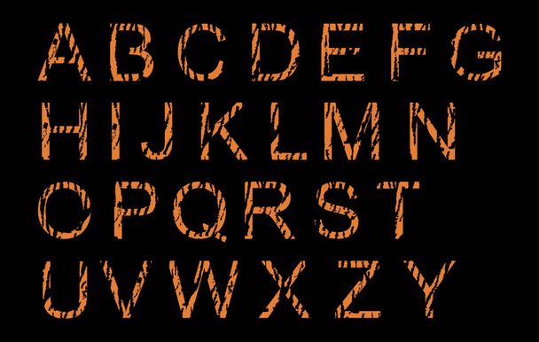 Tiger alphabet, vector font with wild pattern vector illustration isolated on black background. Animal words print background, tiger letters sign. - Vektor, obrázek