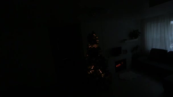 Varkaana otettu valvontakamera rikkoo asunnon joulun. - Materiaali, video
