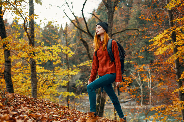 щаслива жінка ходить з рюкзаком на спині в джинсах і червоним светром в ландшафті осіннього лісового парку
 - Фото, зображення