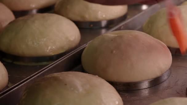 Process of making round bread. Baker applying yolks on raw dough with pastry brush. Close up - Footage, Video