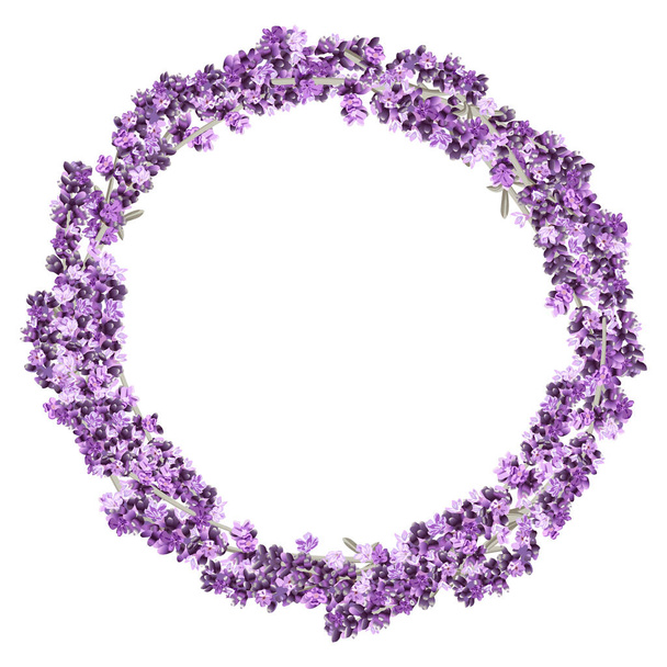 vector image of a wreath of lavender twigs and flowers in purple and pink on a white background - Vektor, obrázek
