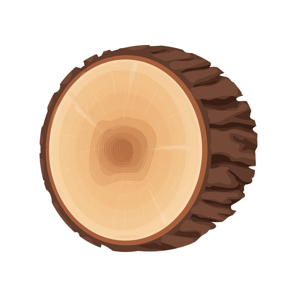 Tree stump, cross section of tree, textured, detailed isolated on white background in flat cartoon style. Круглый ствол с кольцами. - Вектор,изображение