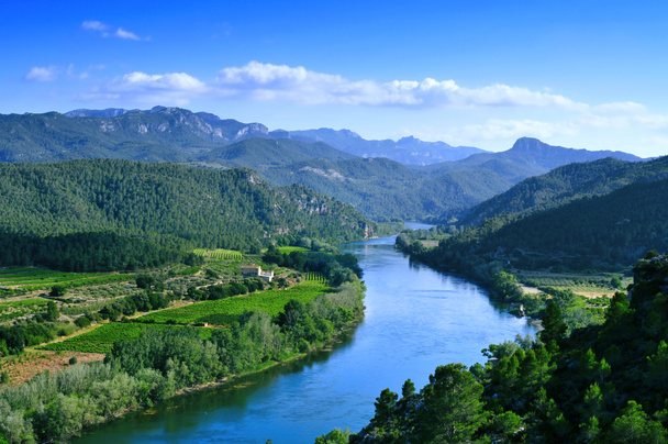 Река Эбро, протекающая через Миравет, Испания - Фото, изображение