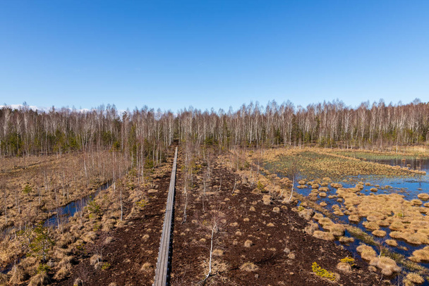 Puinen polku Latvian turvesuolla. Näkymä jopa turvetta suo, sininen suo järvi, koivu metsä ja puinen polku kirkkaana päivänä aikaisin keväällä - Valokuva, kuva