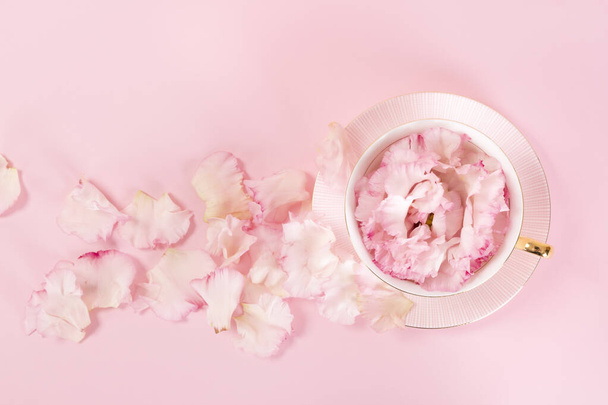 flower buds in cup, pink background - Foto, Imagem