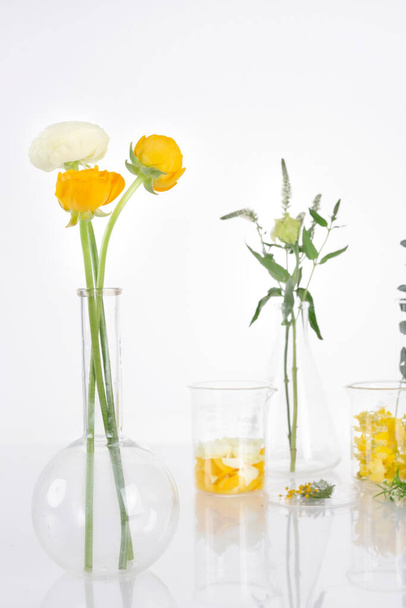 flower and plants in beaker, white background - Foto, imagen