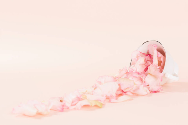 flower buds in cup, pink background - Φωτογραφία, εικόνα