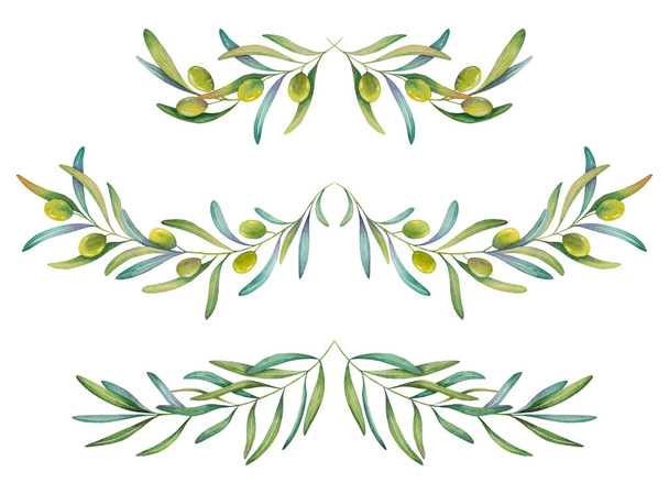 Πράσινα κλαδιά ελιάς με φύλλα για διακόσμηση, vintage σύνορα. - Φωτογραφία, εικόνα